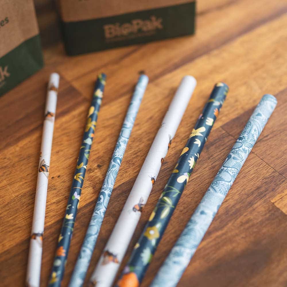 6mm Regular Art Series BioStraw - Image 3
