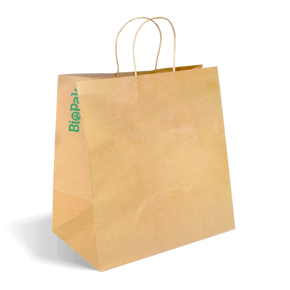 Brown Kraft Paper Bag (355x220x370mm) with Jumbo Twist Handle and a small green "BioPal" logo on the side, photographed against a white background.
