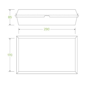 Line drawing of the Family BioBoard White Box with dimensions labeled: 290 mm wide, 170 mm deep, and 85 mm tall.