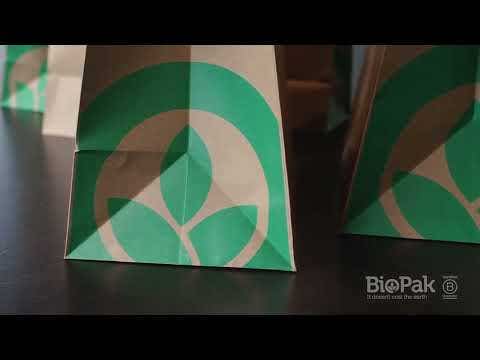 Close-up of Kraft Paper Bags (355x220x370mm) with a green leaf design and the BioPak logo printed on the lower right corner, featuring sturdy Jumbo Twist Handles.